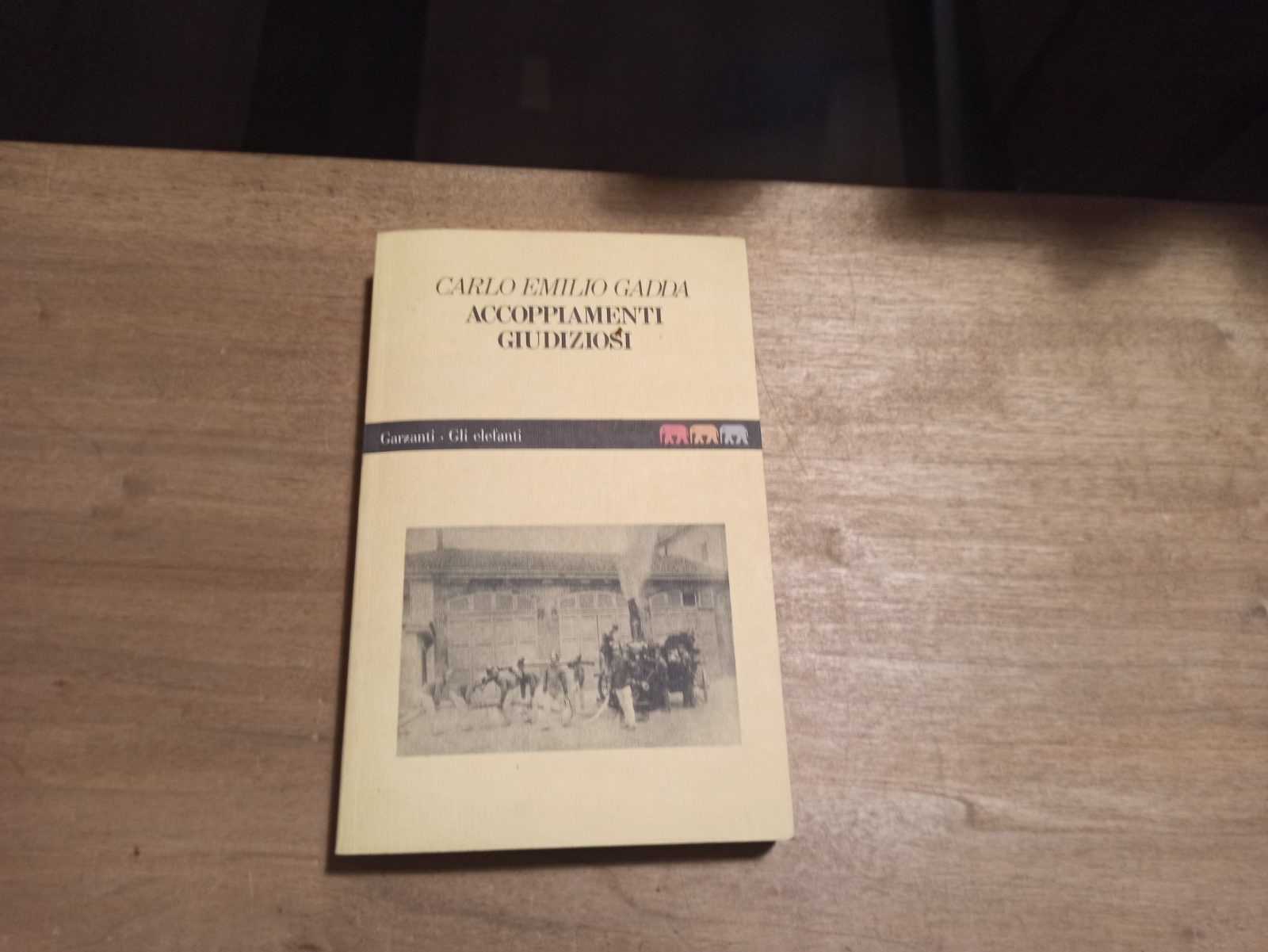 Carlo Emilio Gadda - Accoppiamenti giudiziosi - Garzanti