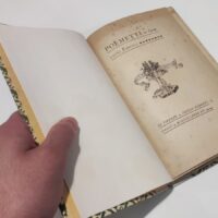 Giovanni Pascoli - Poemetti - Paggi